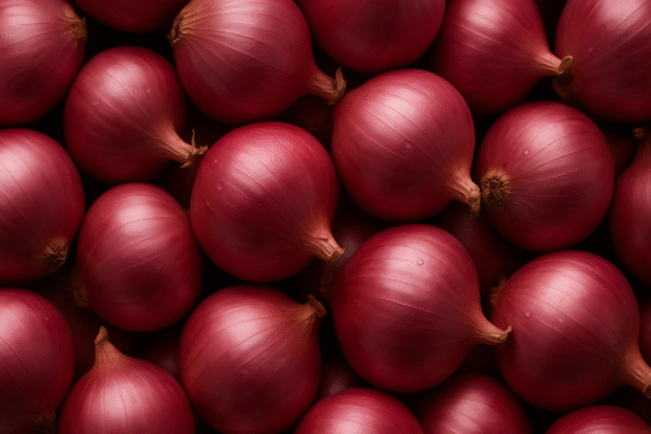 onion background