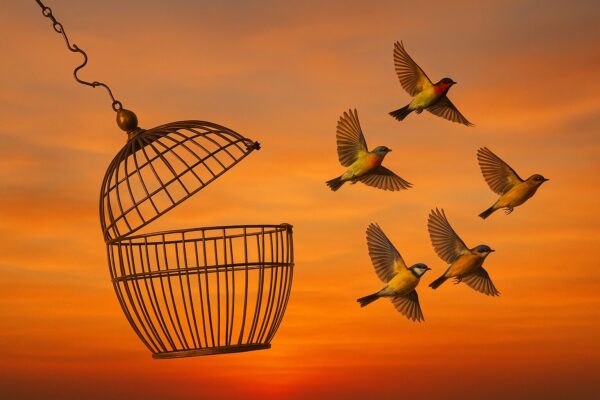 Birds flying out of an open cage against a sunset, symbolizing freedom and new beginnings